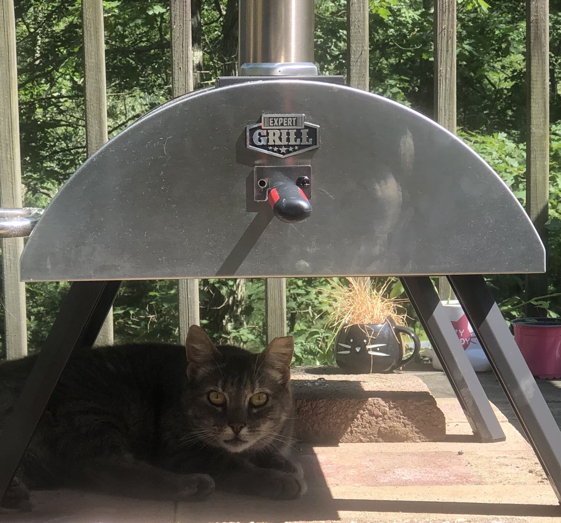 expert grill charcoal pizza oven