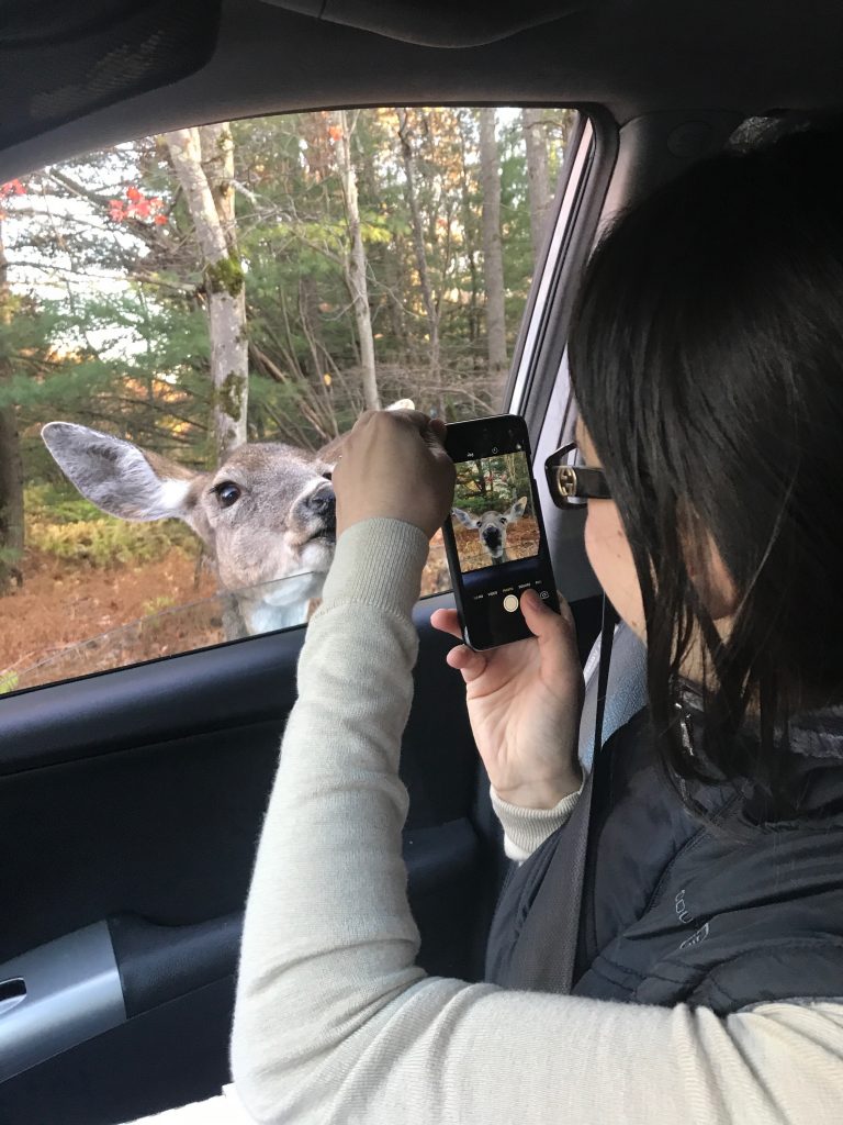 This image has an empty alt attribute; its file name is IMG_3852-1-768x1024.jpg